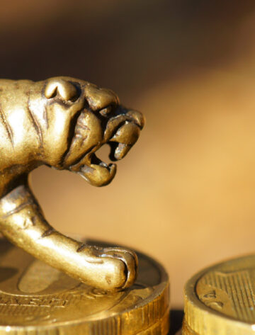 ELD New Asian Tigers ELD Asset Management Sets Sights on the "New Asian Tigers"