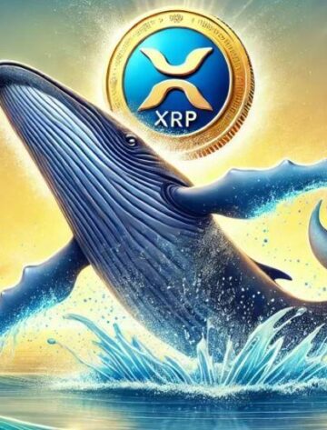 bvh Ripple/XRP whales quietly flock to XY miners, earning $2,000 a day