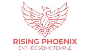 vhjh RISING PHOENIX ENTHEOGENIC TEMPLE (MUSHROOM CHURCH) EXPANDS TO 2ND LOCATION IN SAN FRANCISCO