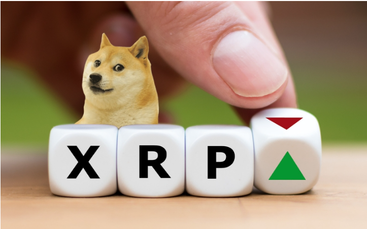 As XRP surges, DLMining platform opens new high-yield cloud mining opportunities for holders